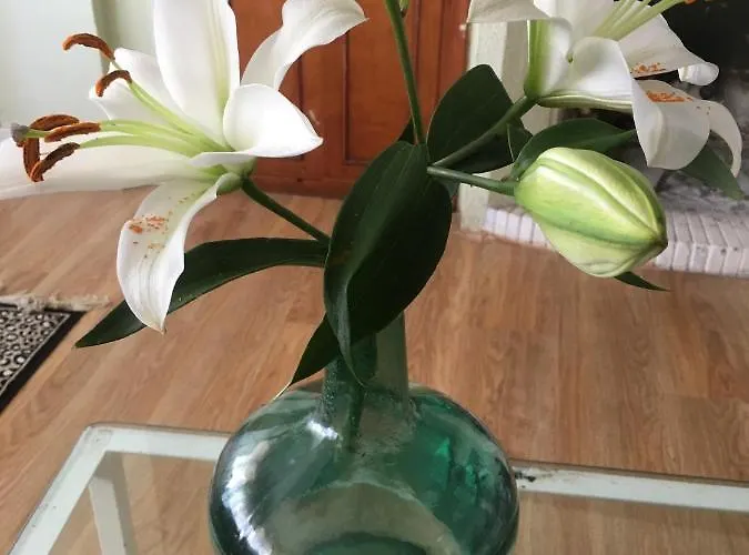 Apartamento Centro Cerca Playa By Days *