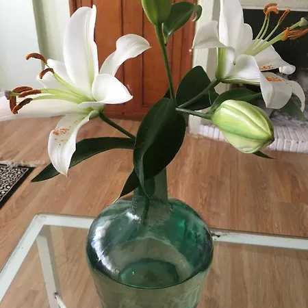 Apartamento Centro Cerca Playa By Days *